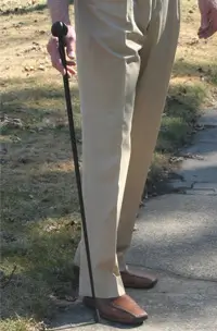 BlackSwift Walking Stick