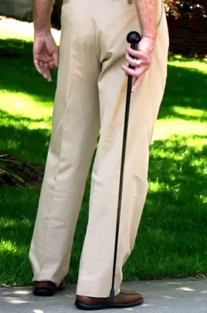 BlackSwift Walking Stick