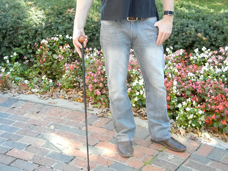 BlackSwift Walking Stick