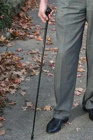 BlackSwift Walking Stick
