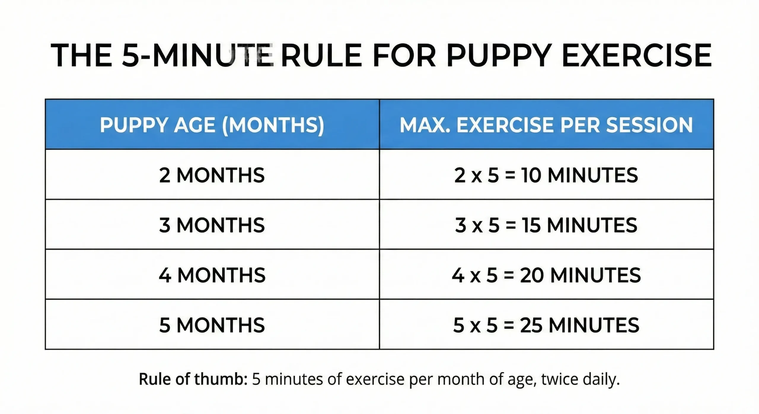 5-minute rule puppy exercise chart by age showing safe daily walking limits.