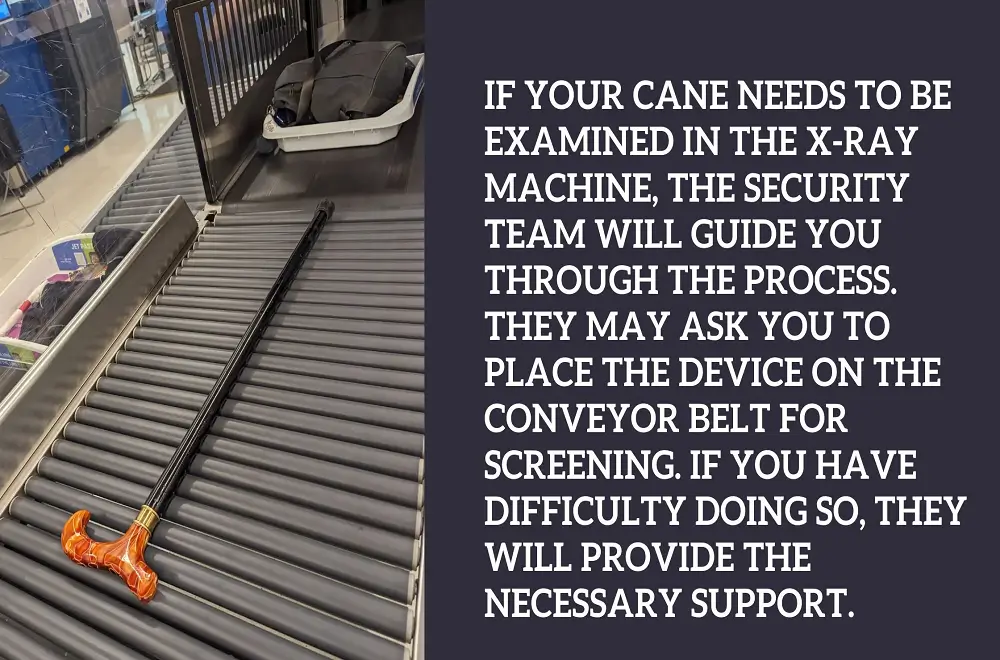 Are Walking Sticks Allowed on Planes?