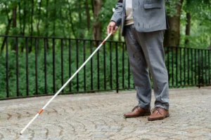 Walking Sticks